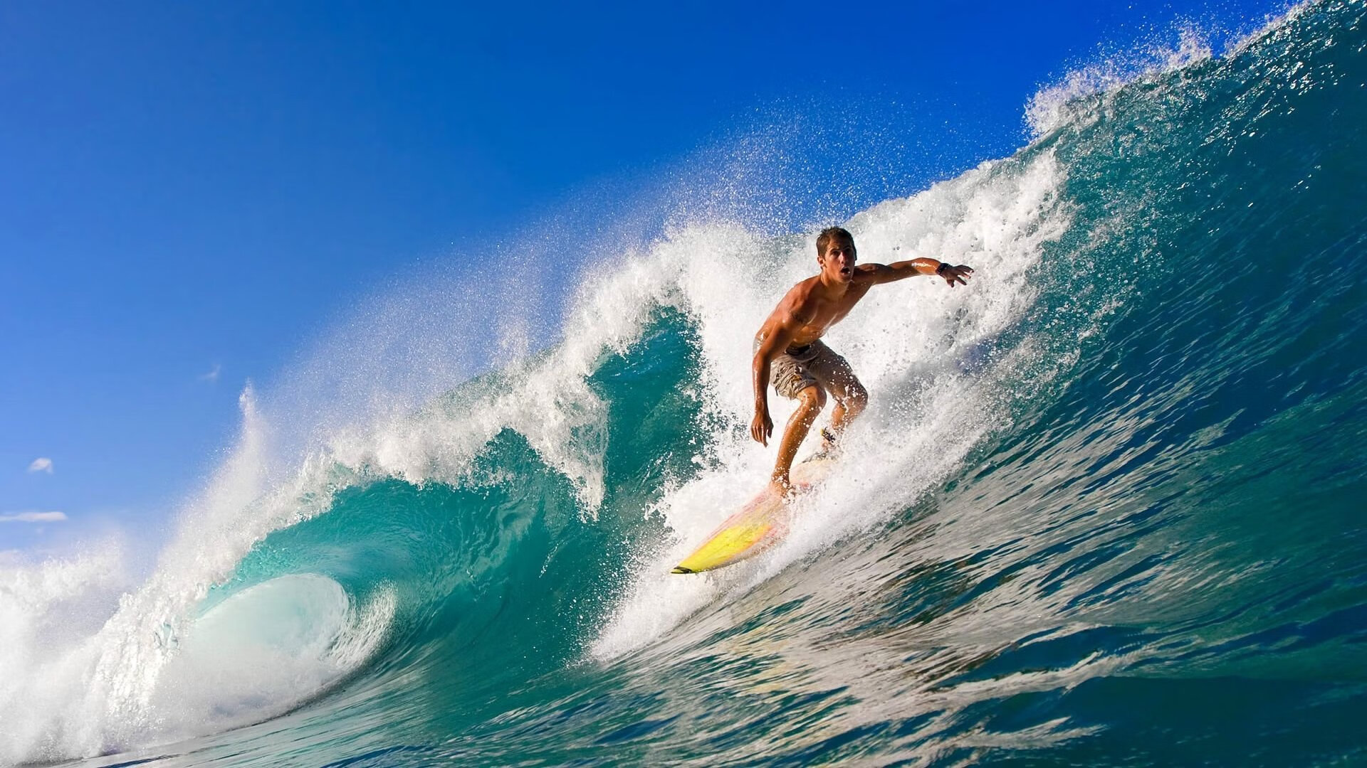 开云体育最新地址-体育场馆智能化升级方案，体育场馆智能化升级方案怎么写